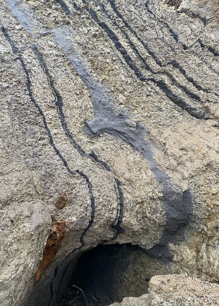 Moler er kilde til opdagelse på Fur