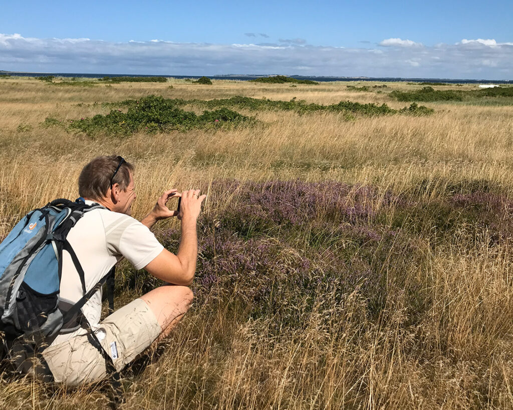 Naturfotografering - Fur er ideel