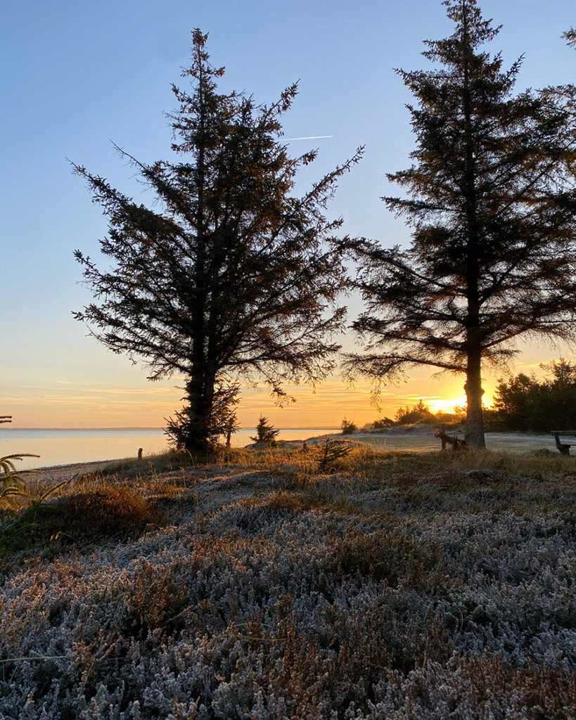 Fur - Limfjordens skønneste ø
